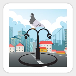 City bird Sticker
